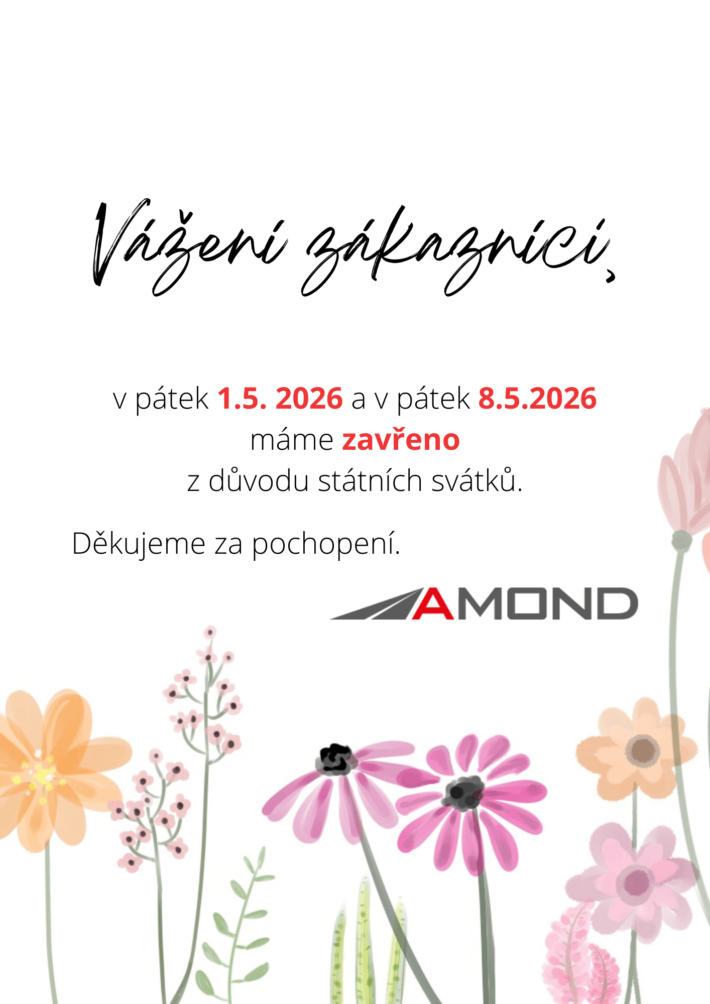 Hello May (Flyer).png